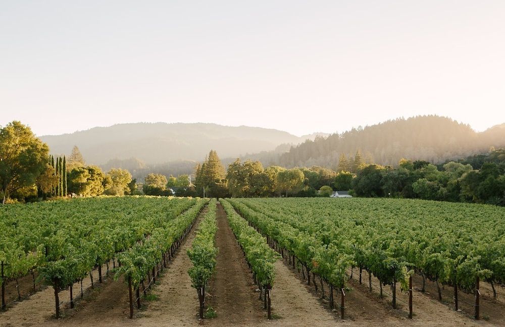 Alila Napa Valley, A Hyatt Resort St. Helena Exterior photo